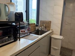 Esparina Residences (D19), Condominium #574081991